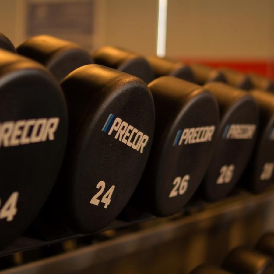 Set dumbbell 2x10kg
